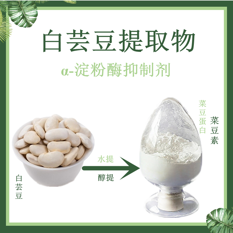 白芸豆提取物 水溶性好 芸豆蛋白 菜豆素 α-淀粉酶抑制剂