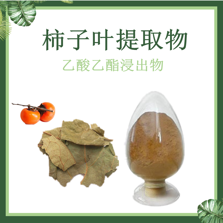 现货供应 柿叶提取物 柿子叶提取物 乙酸乙酯浸出物20%-90%