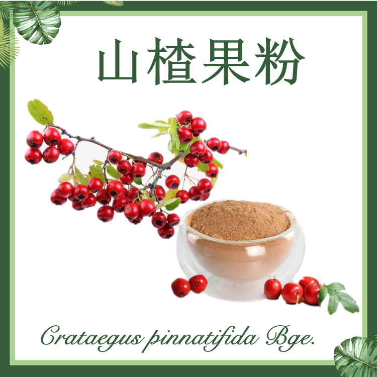 山楂果粉  去核山楂粉  山楂粉
