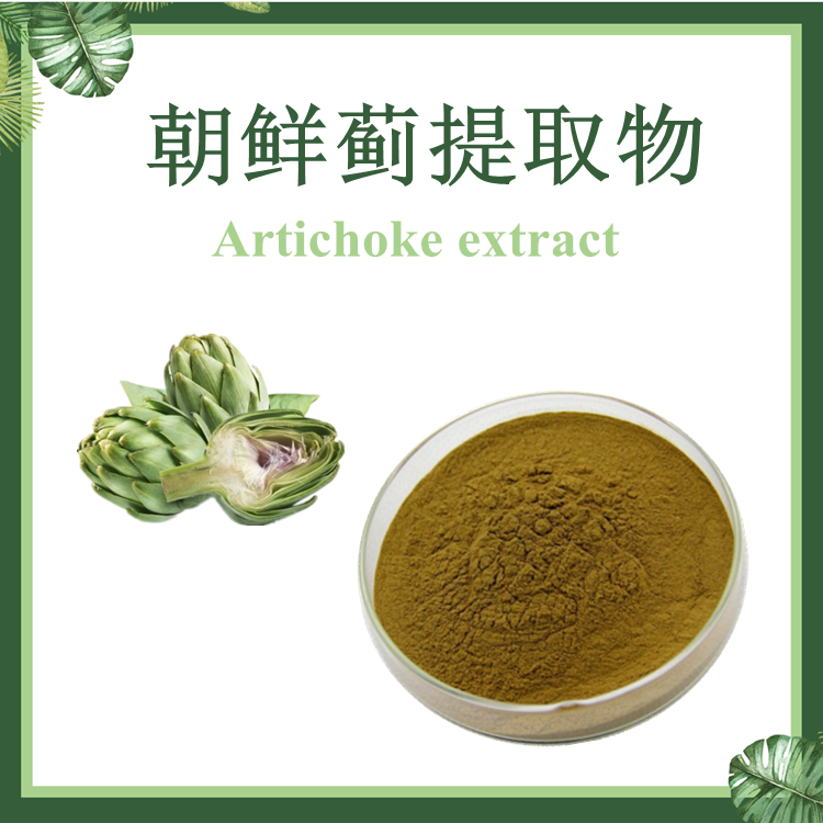 洋蓟提取物 10:1 朝鲜蓟提取物 菜蓟提取物