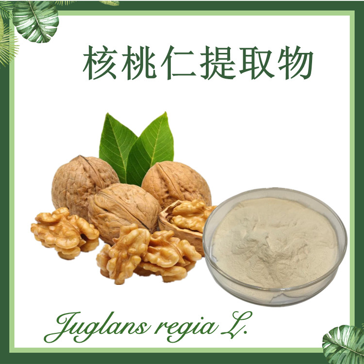 【慈缘】核桃仁提取物 核桃粉 胡桃肉提取物10:1