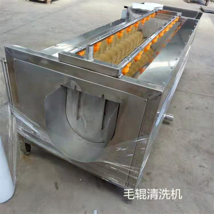 农作物毛辊清洗设备供应商  清洗干净  全自动毛辊清洗机