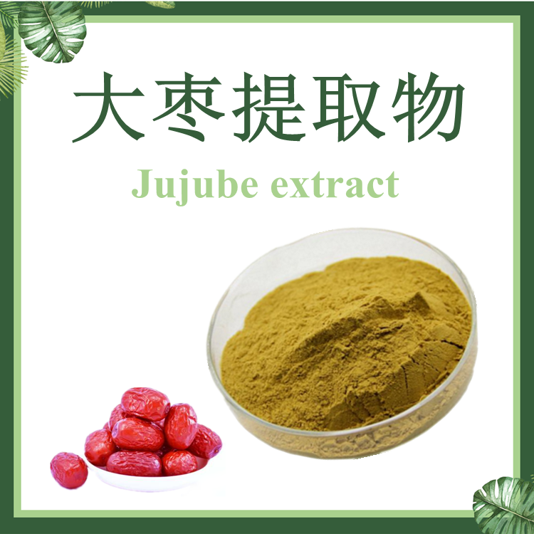 【慈缘生物】大枣提取物 10:1 红枣提取物