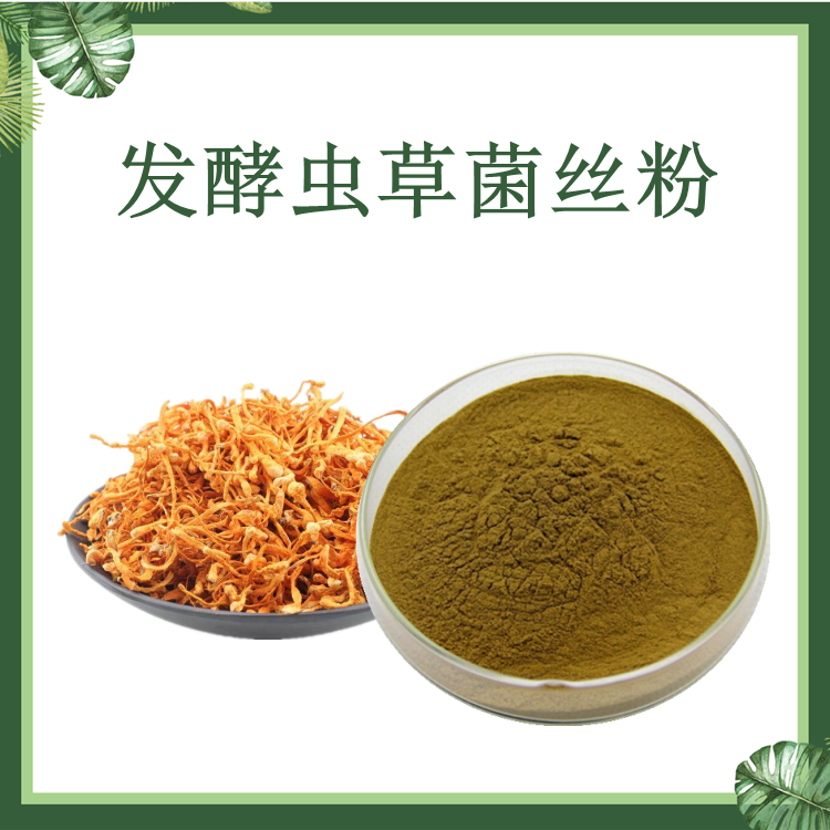 虫草菌粉  发酵虫草菌丝粉 蝙蝠蛾拟青霉菌粉 发酵虫草菌丝体