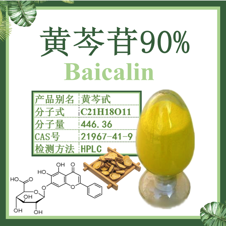 黄芩苷90% Baicalin 黄芩提取物