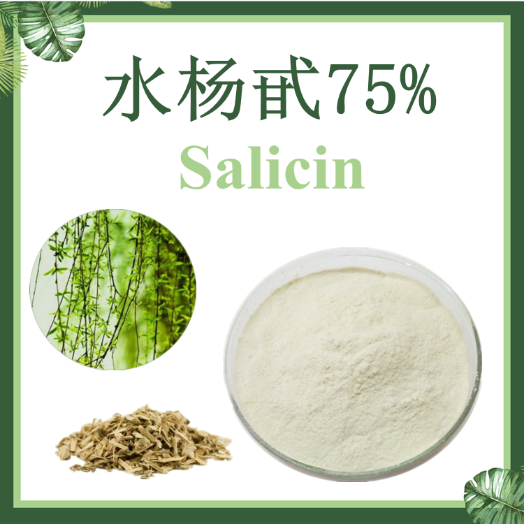 水杨甙75% 白柳皮提取物 水杨苷