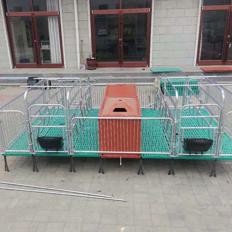母猪产床 复合母猪产床 新式母猪产床 养猪设备母猪产床 