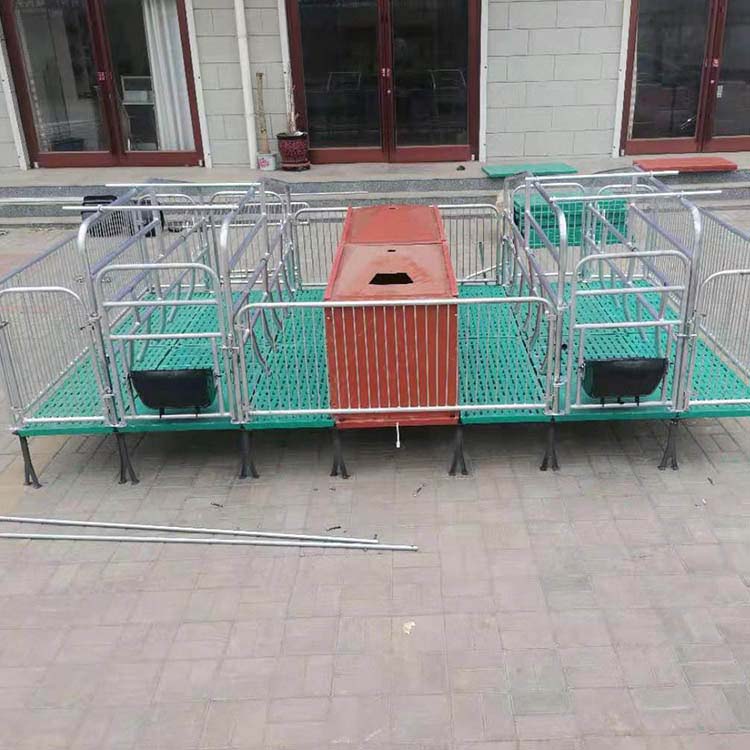 母猪产床 全复合母猪产床 单体母猪产床 养猪场用母猪产床 
