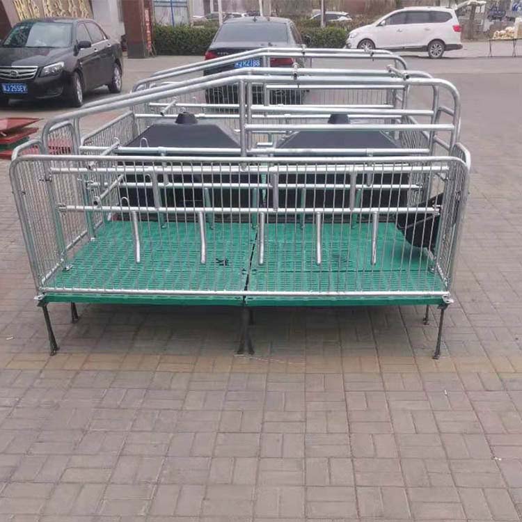 猪用产床 养殖母猪产床 双体位母猪产床 母猪产床 现货供应 