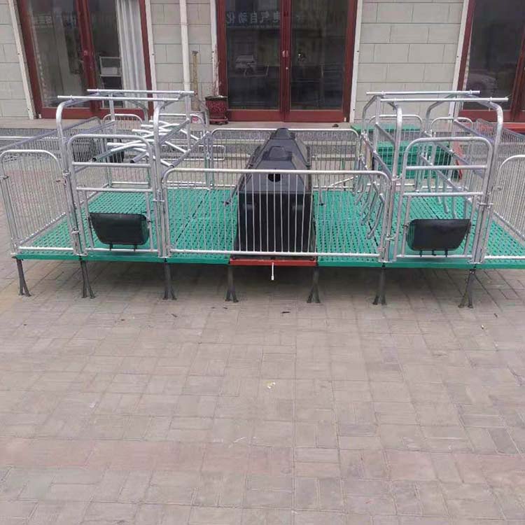 母猪产床 新型母猪产床 养猪设备母猪产床 复合母猪产床 