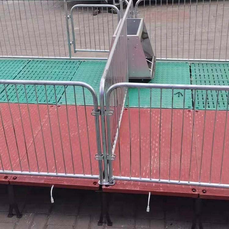 双体母猪保育床 仔猪保育床 养殖保育床 养猪设备 