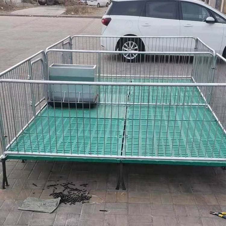 复合材料保育床 猪用保育床 欧式保育床  小猪保育床 