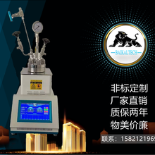微型高压磁力反应釜