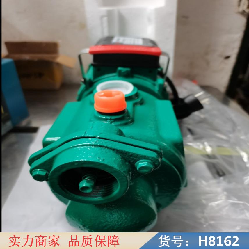 朵麦螺杆自吸泵 家用单相螺杆自吸泵 高吸程抽水泵货号H8162