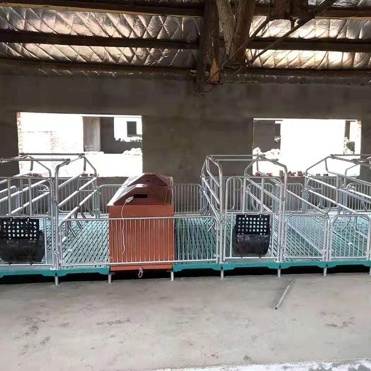 生产 新型母猪产床 双体母猪产床 规格多样 复合板产床 型号多样