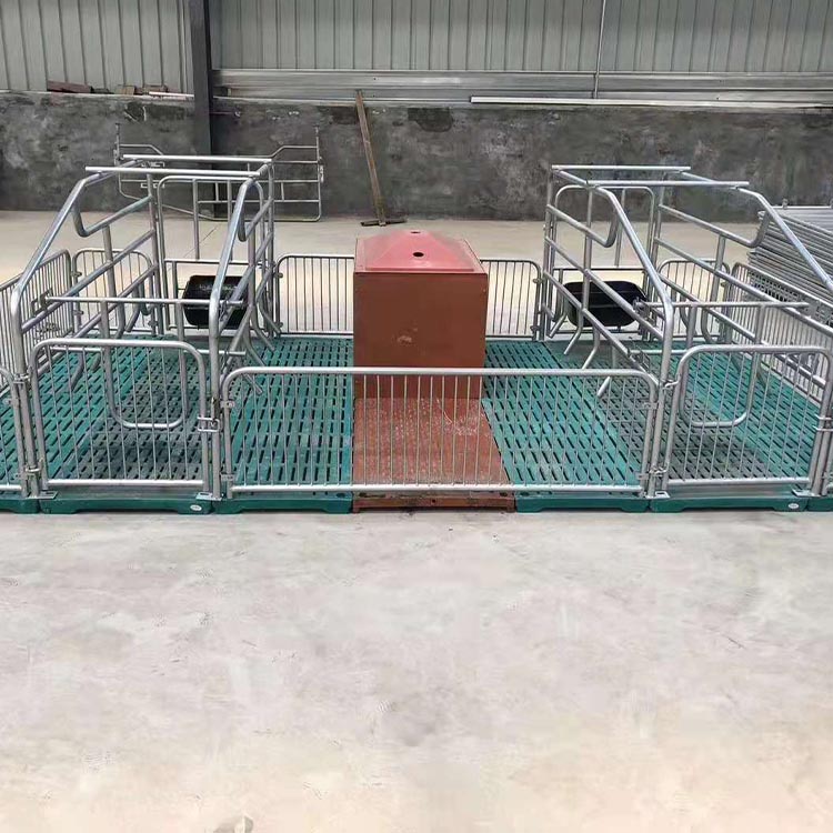 母猪产床 双体产床价格 猪用产保一体产床 两用产床 加工定制