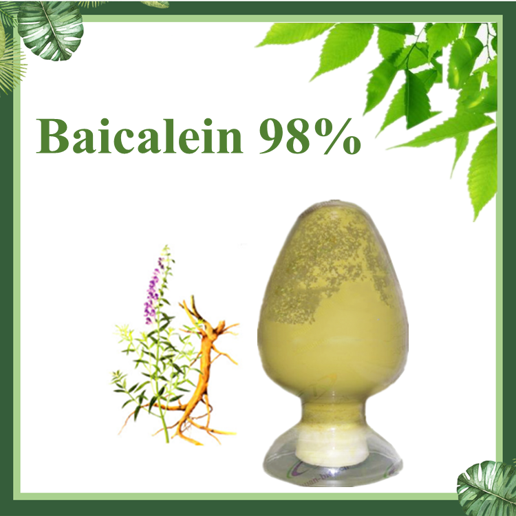 慈缘生物 黄芩素98%  黄芩提取物 CAS号491-67-8 慈缘生物 保健品原料 黄色粉末 厂家 保健品专用