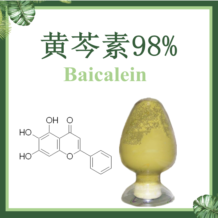 慈缘生物 黄芩素98%  黄芩提取物 CAS号491-67-8 慈缘生物 原料黄芩提取物 98% 厂家 化妆品专用