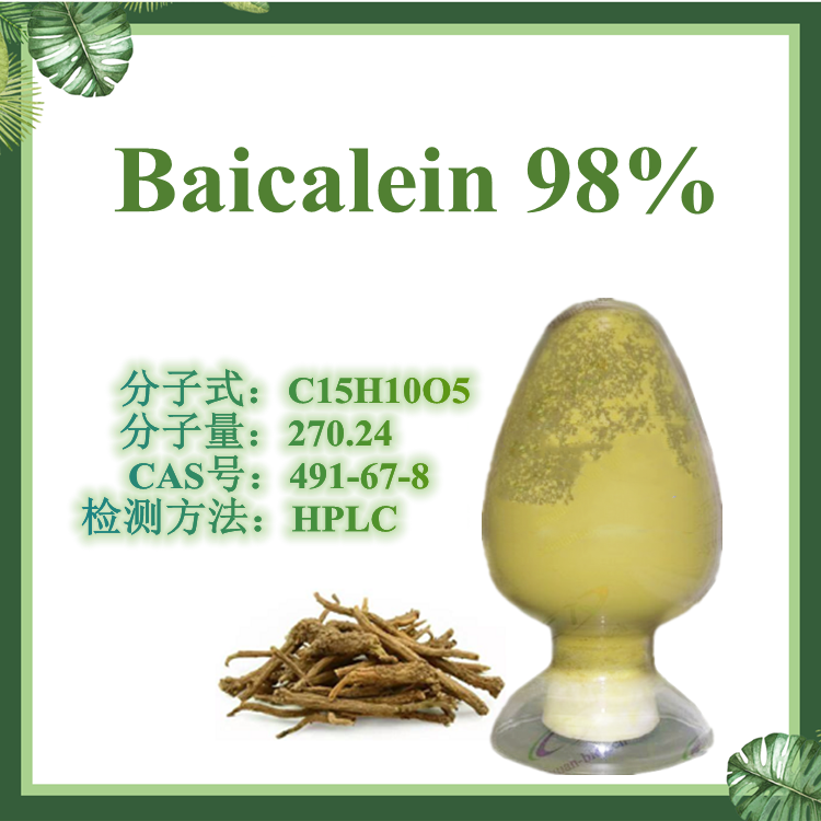 慈缘生物 黄芩素98%  黄芩提取物 CAS号491-67-8 慈缘生物 慈缘生物 黄芩的干燥根 优质供应 临床专用