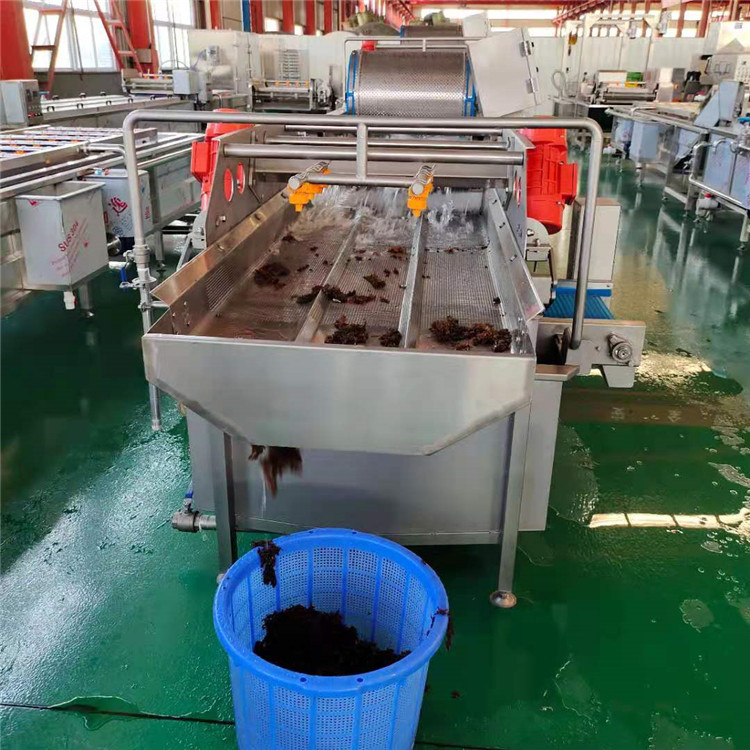 商用型涡流清洗机 美康牌蔬菜洗菜机 连续式净菜加工流水线设备