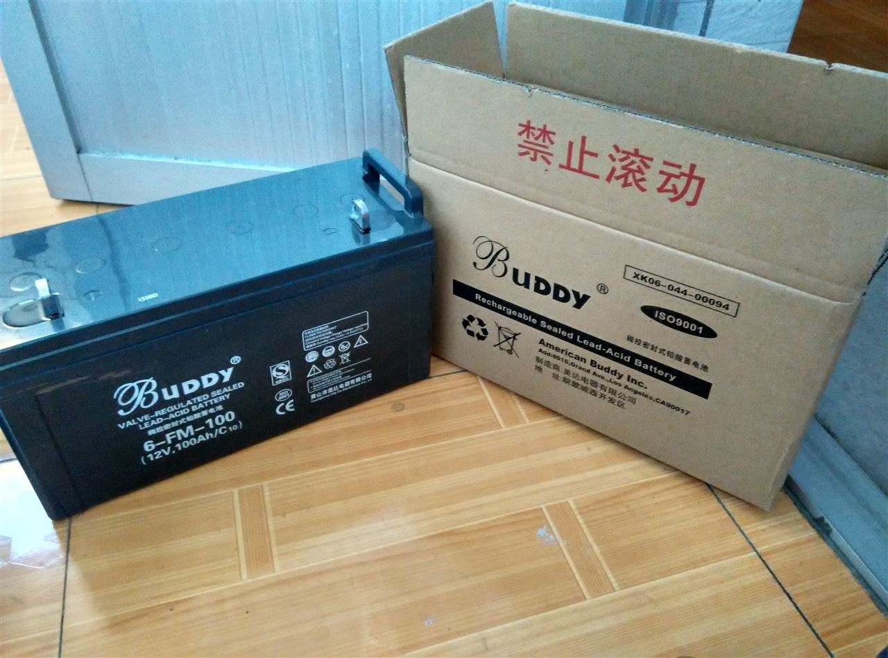 宝迪蓄电池6-GFM-200 BUDDY阀控式蓄电池12V200AH 免维护储能蓄电池