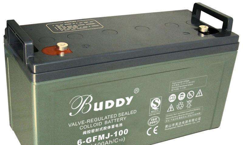 宝迪BUDDY蓄电池6-GFM-24 12V24AH免维护电池