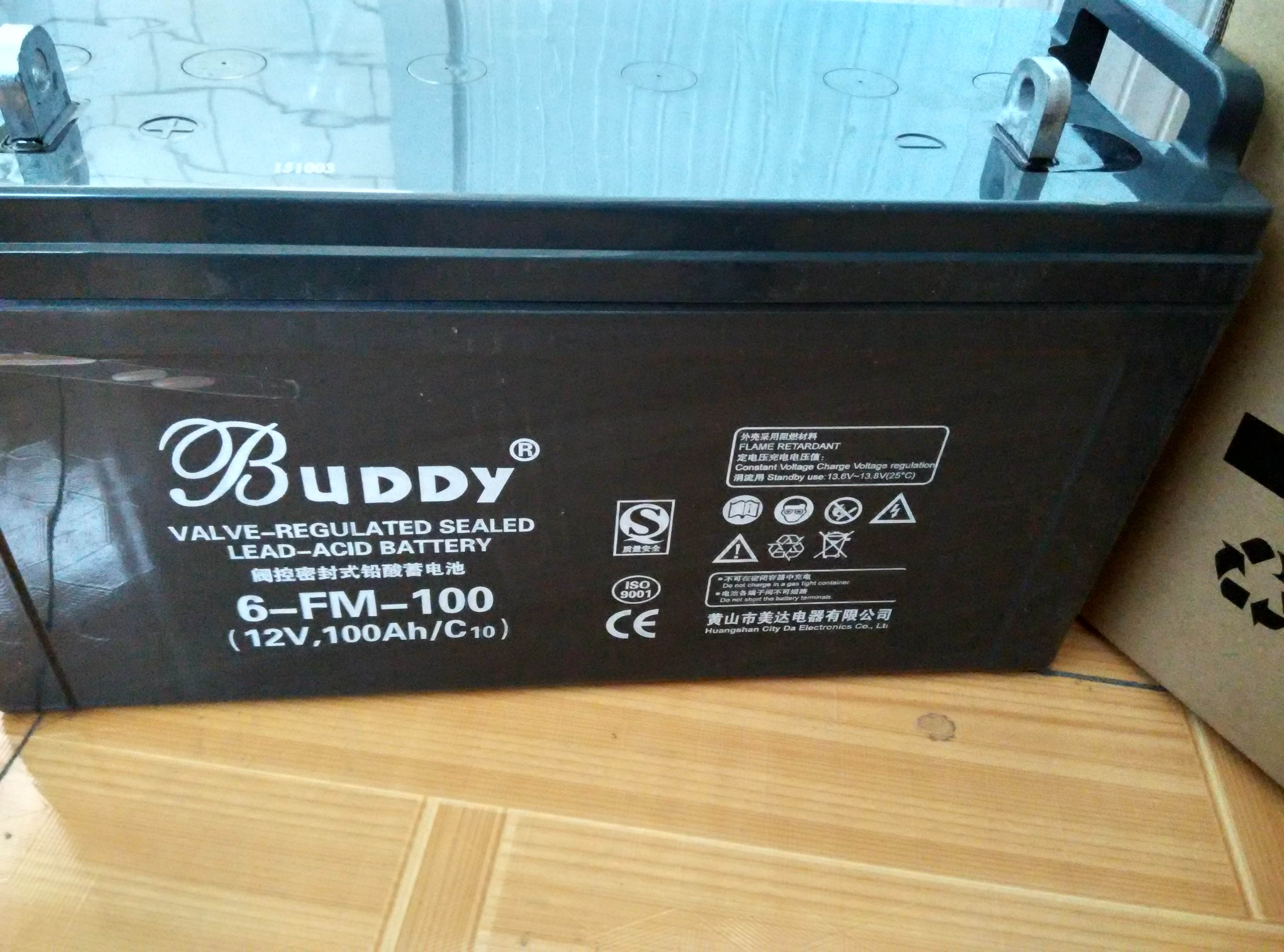 BUDDY宝迪蓄电池6-GFM-100 12V100AH阀控式免维护蓄电池