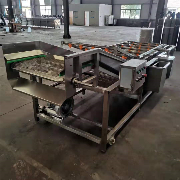 气泡喷淋蔬菜清洗机可加工定做 去杂质清洗设备 净菜加工设备