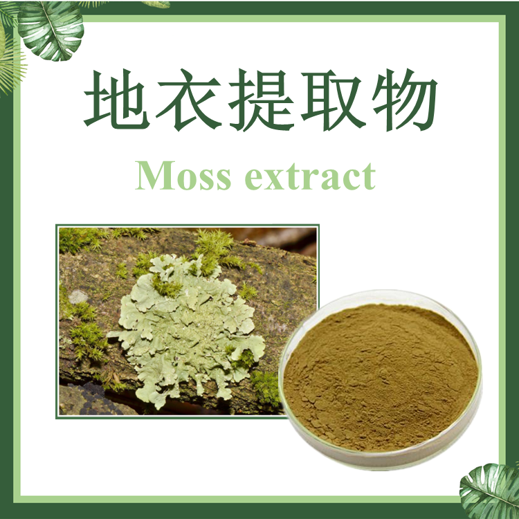 【慈缘生物】地衣提取物 10：1  现货供应