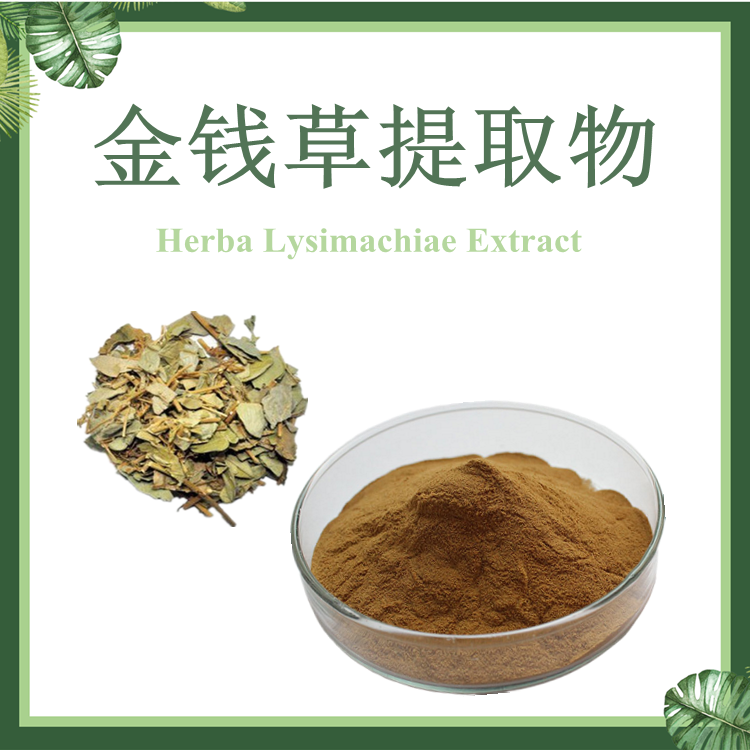 金钱草提取物 10:1  马蹄金提取物 现货供应