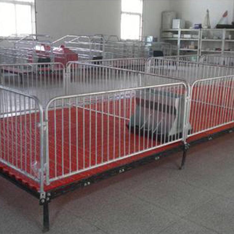 小猪用保育床 复合材料保育床 养殖场用仔猪保育床 可定制