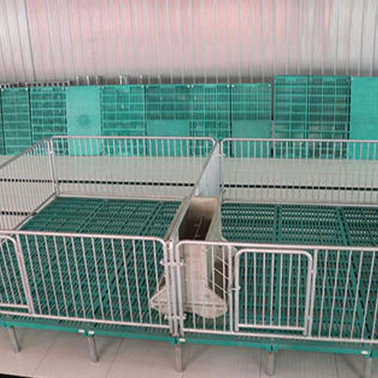 加工定制 猪场用仔猪保育床 小猪用保育床 型号多样 养殖场用保育床 可订购