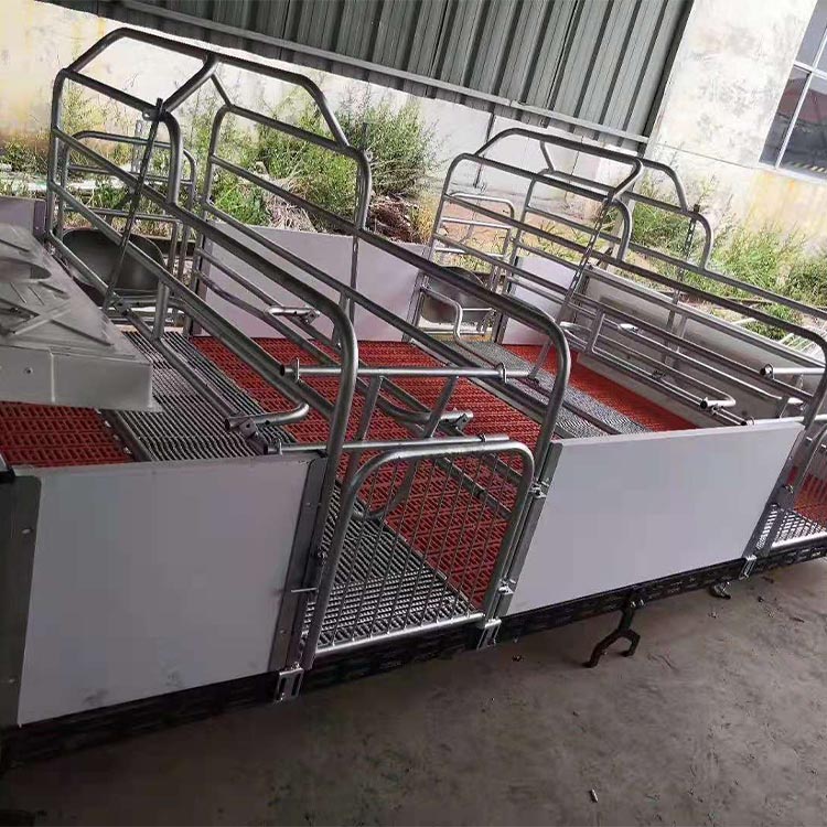 新型双体产床 猪用复合板产床 按需出售 产保一体产床 欢迎来电详询