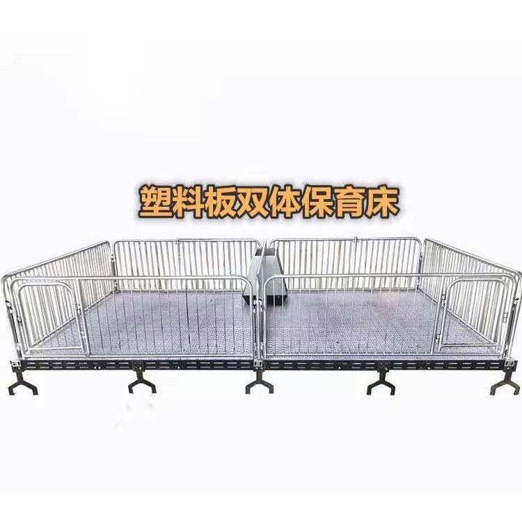 按图加工 加厚保育床 养殖场用保育床 欢迎来电详询 保育床
