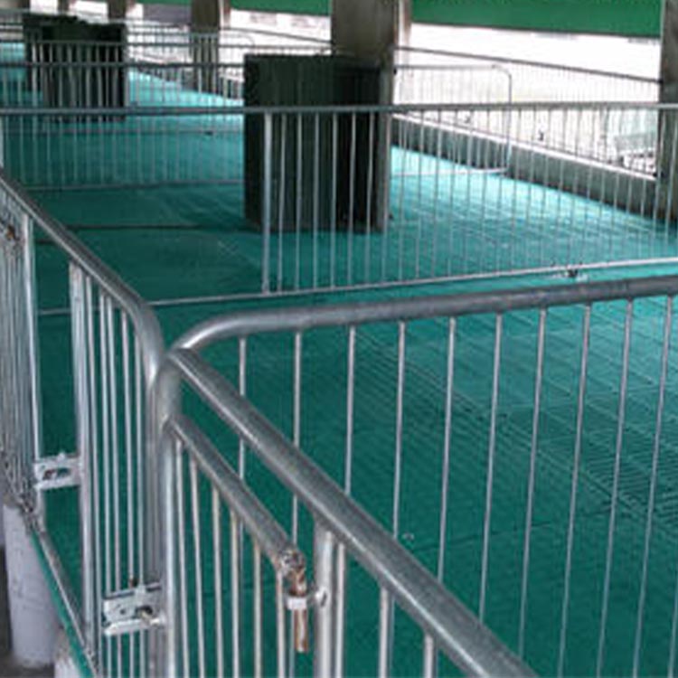 复合保育床 养猪场用保育床 小猪用保育床 可订购