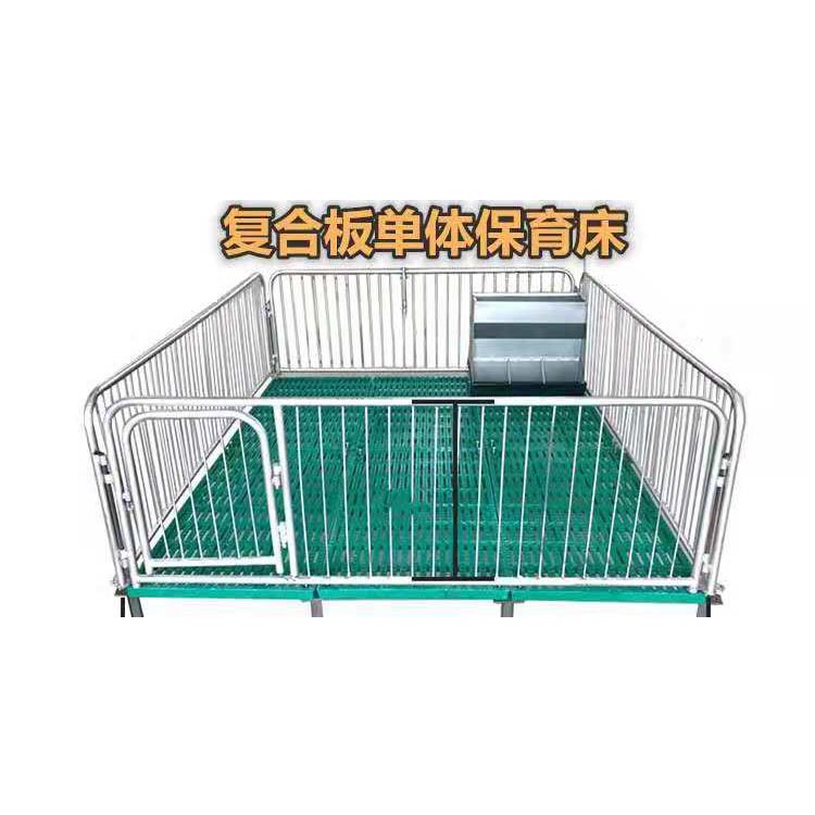 按需供应 小猪用复合保育床 小猪用保育床 加厚保育床