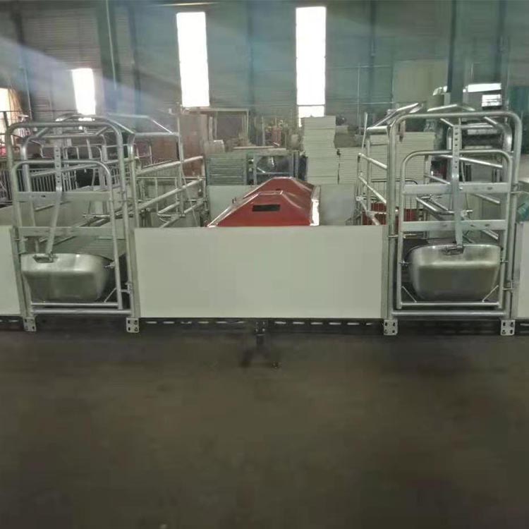 双体全复合产床 热镀锌双体母猪产床 定制 母猪单体分娩床 规格多样