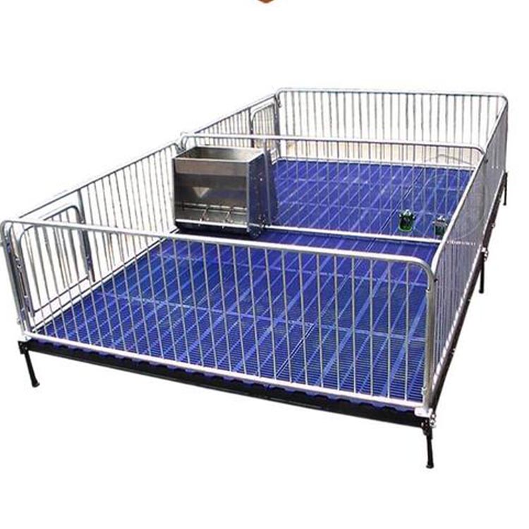 猪舍保育床 小猪用复合保育床 复合保育床 支持订制 质量稳定