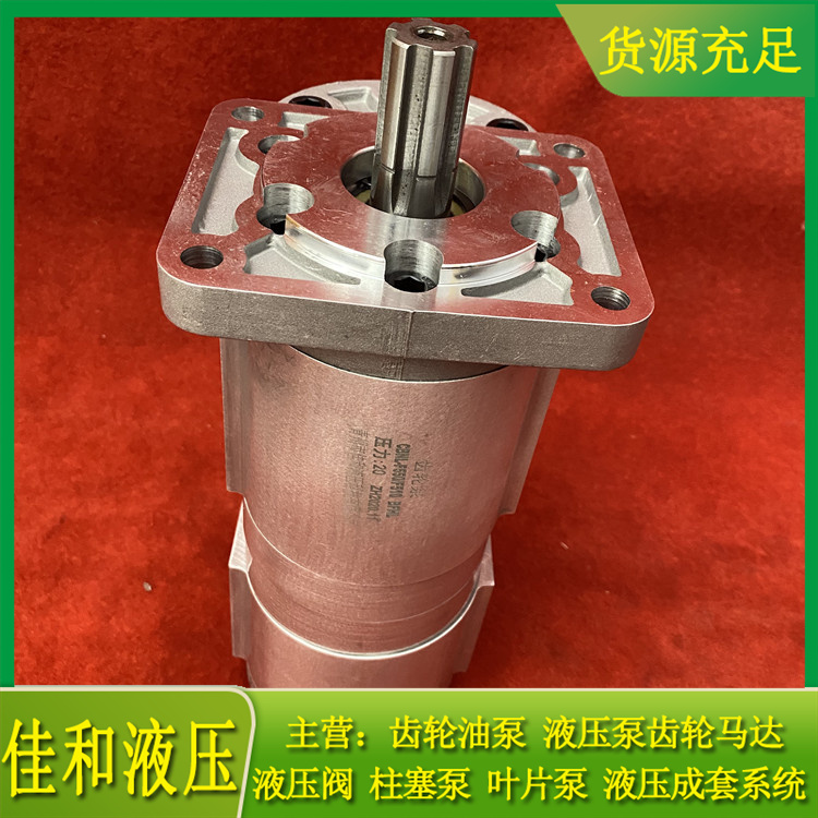扫雪车液压泵厂家供应 CBNL-F550/532-佳和液压