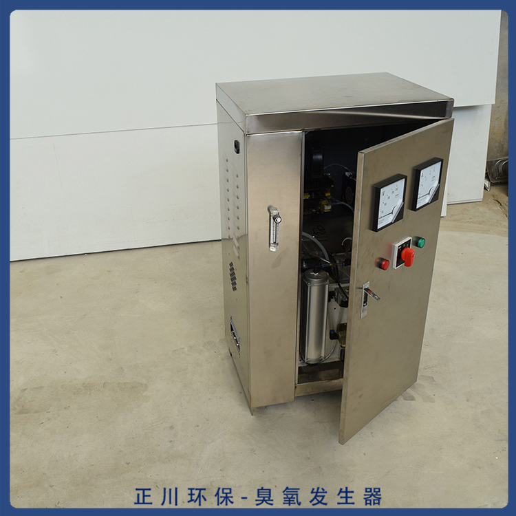 臭氧机批发 产气量较高 陕西饭店臭氧发生器