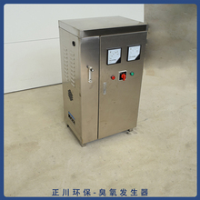臭氧机制造 产气量较高 天津矿泉水臭氧发生器
