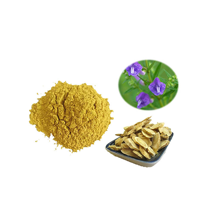 慈缘生物 黄芩素98%  黄芩提取物 CAS号491-67-8 慈缘生物 保健品原料 黄芩的干燥根 供应 动物生产专用