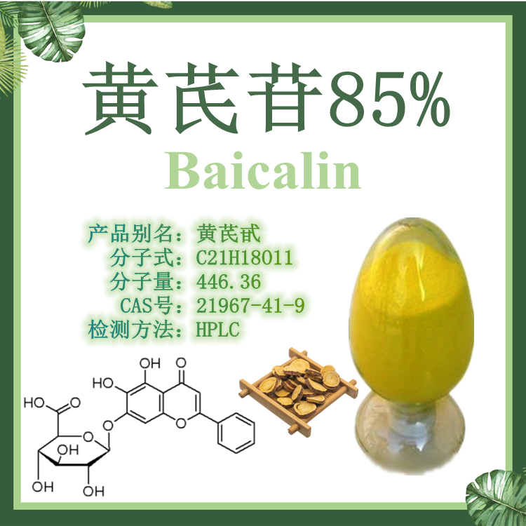 现货供应：黄芩提取物 黄芩苷85% Baicalin CAS号21967-41-9