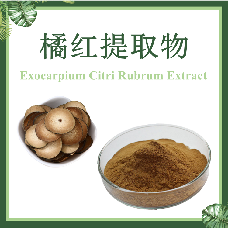 橘红提取物  10:1 芸皮提取物 现货供应
