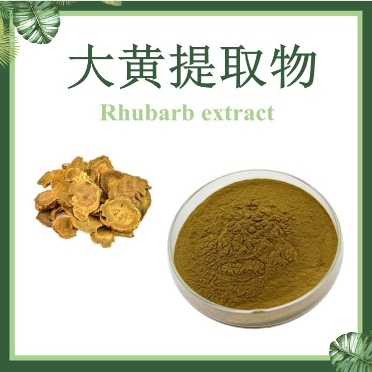 现货供应：大黄提取物 10:1