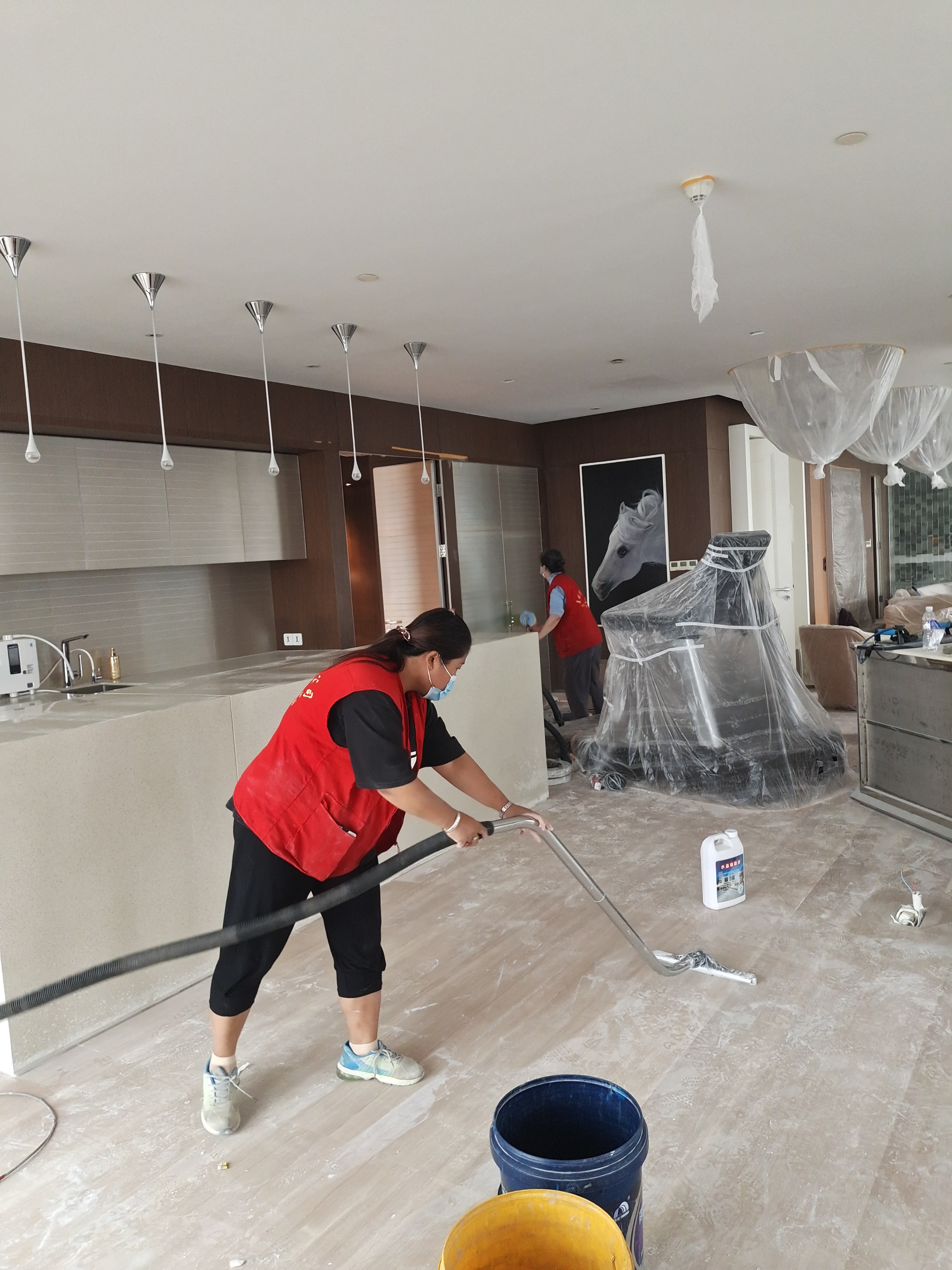 专业开荒保洁  地毯清洗 价格合理