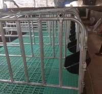 限位栏母猪10猪位 热镀锌 母猪限位栏产床 落地式猪用定为栏