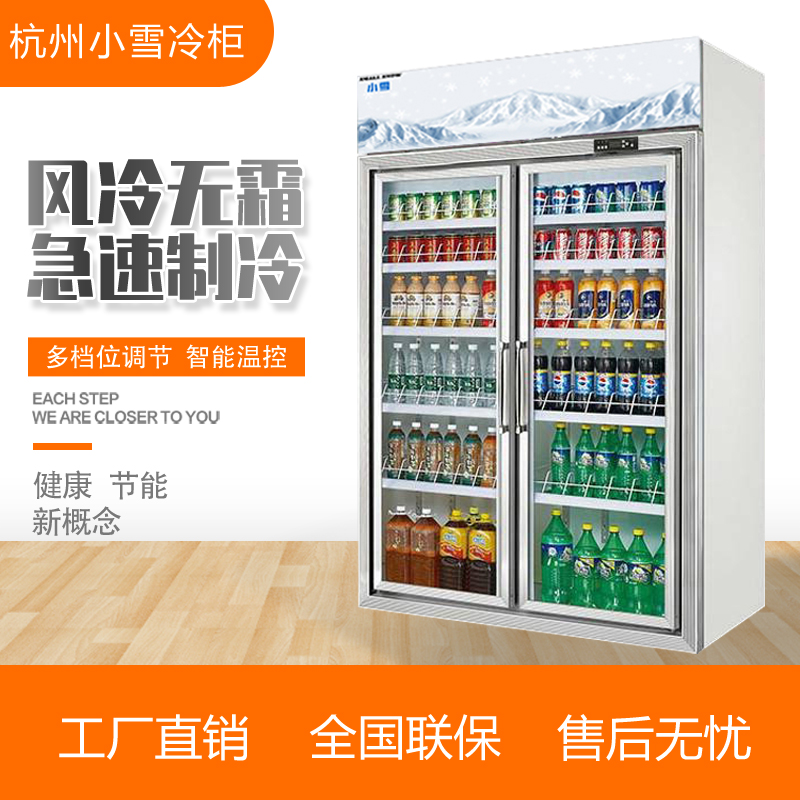 立式冷藏展示柜风冷商用超市啤酒饮料柜单双三四五门杭州小雪冷柜