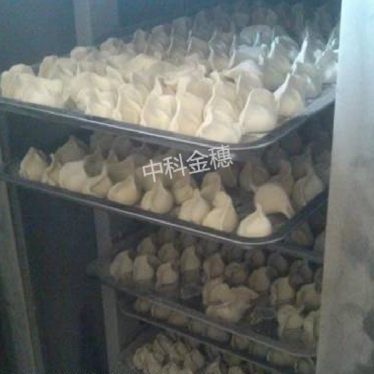 -40度 10盘 海鲜，水饺，包子速冻机  海参速冻柜 食品急冻柜