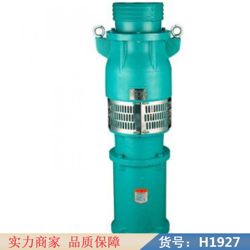 钜都大流量潜水泵 自动潜水泵 潜水泵大型货号H1927